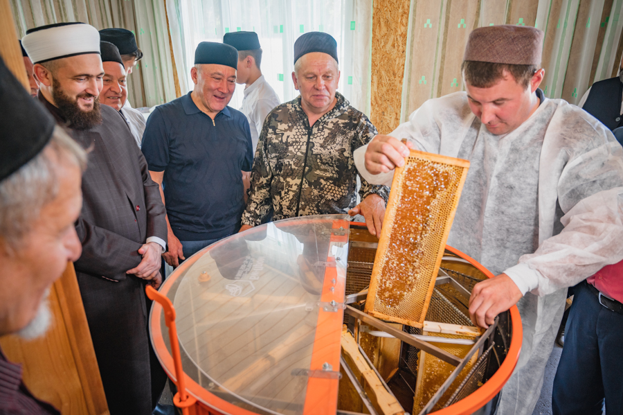 Камиль хазрат и Марат Ахметов ознакомились с пчеловодческим комплексом медресе им.1000-летия принятия ислама