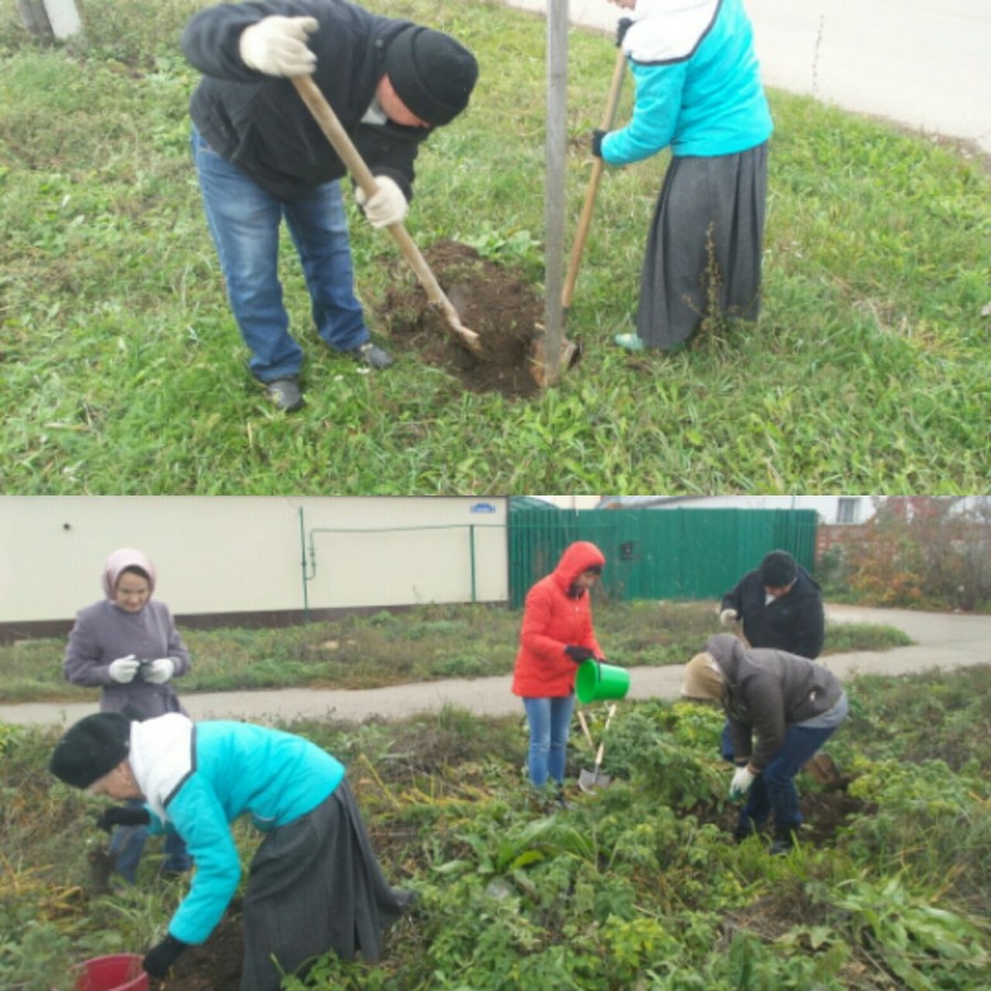 Молодежный отдел Бугульминского мухтасибата принял участие в республиканской акции "Посади дерево"
