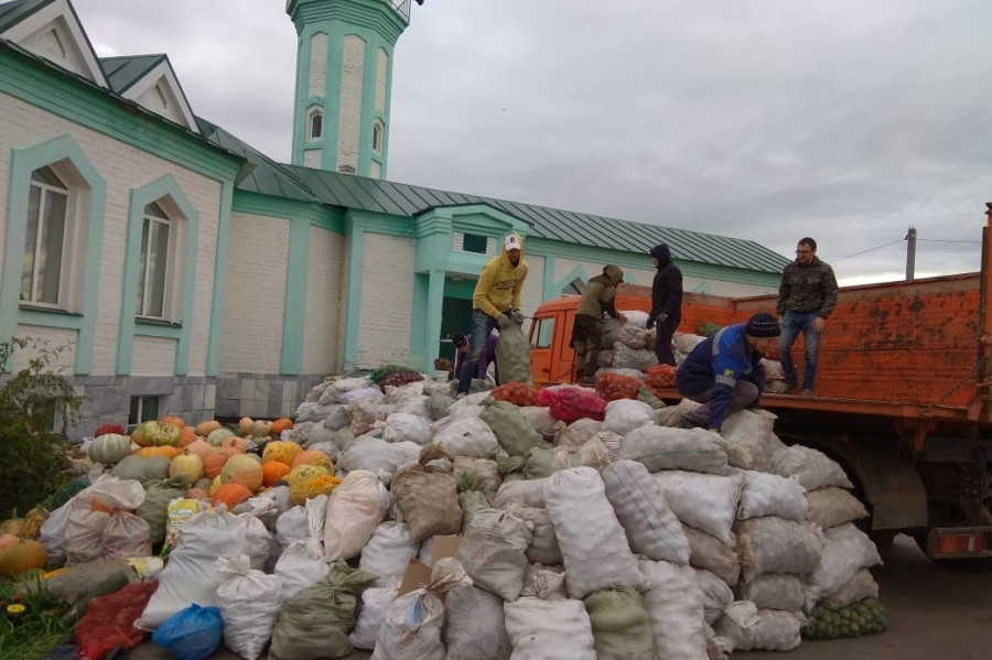 В Татарстане собрано 1109,5 т гушр-садаки. Но сбор в пользу нуждающихся продолжается