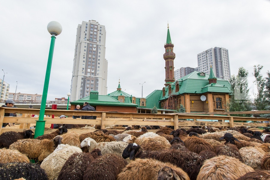 В Татарстане определены места заклания в дни Курбан-байрама
