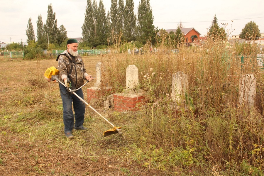 ДУМ РТ вынес фетву об использовании травы из кладбища